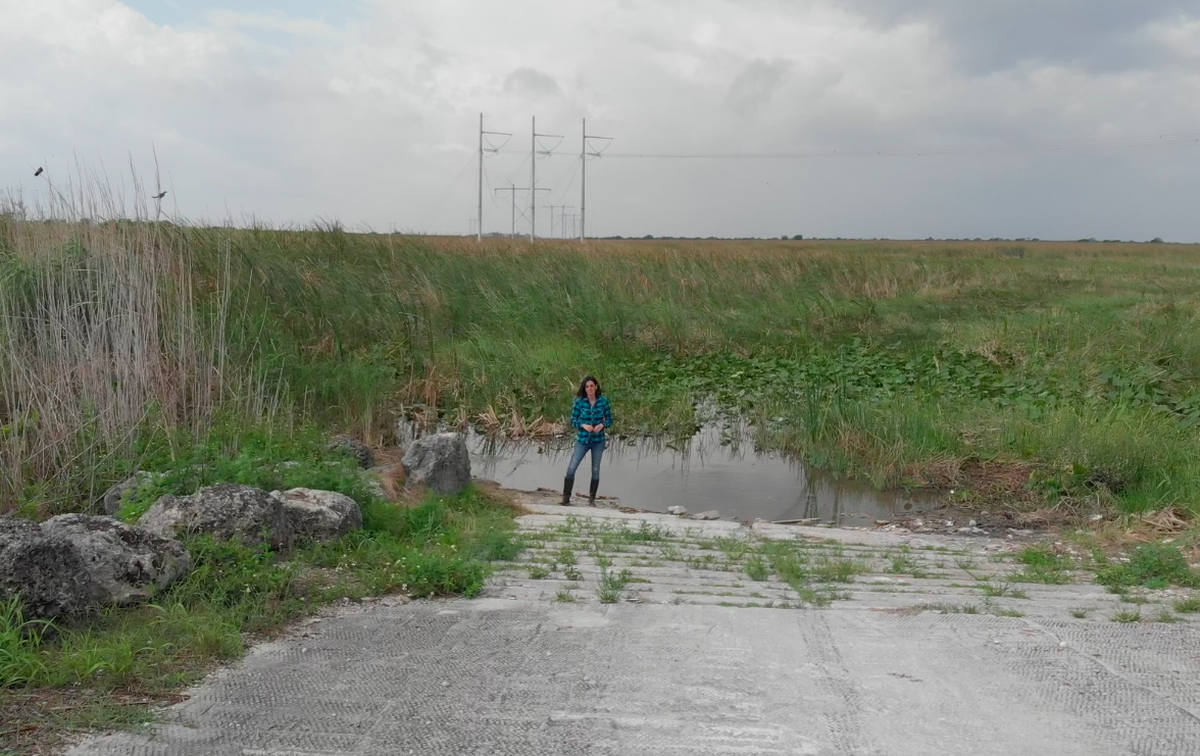La periodista Irene Díaz estuvo grabando varias semanas en los Everglades.