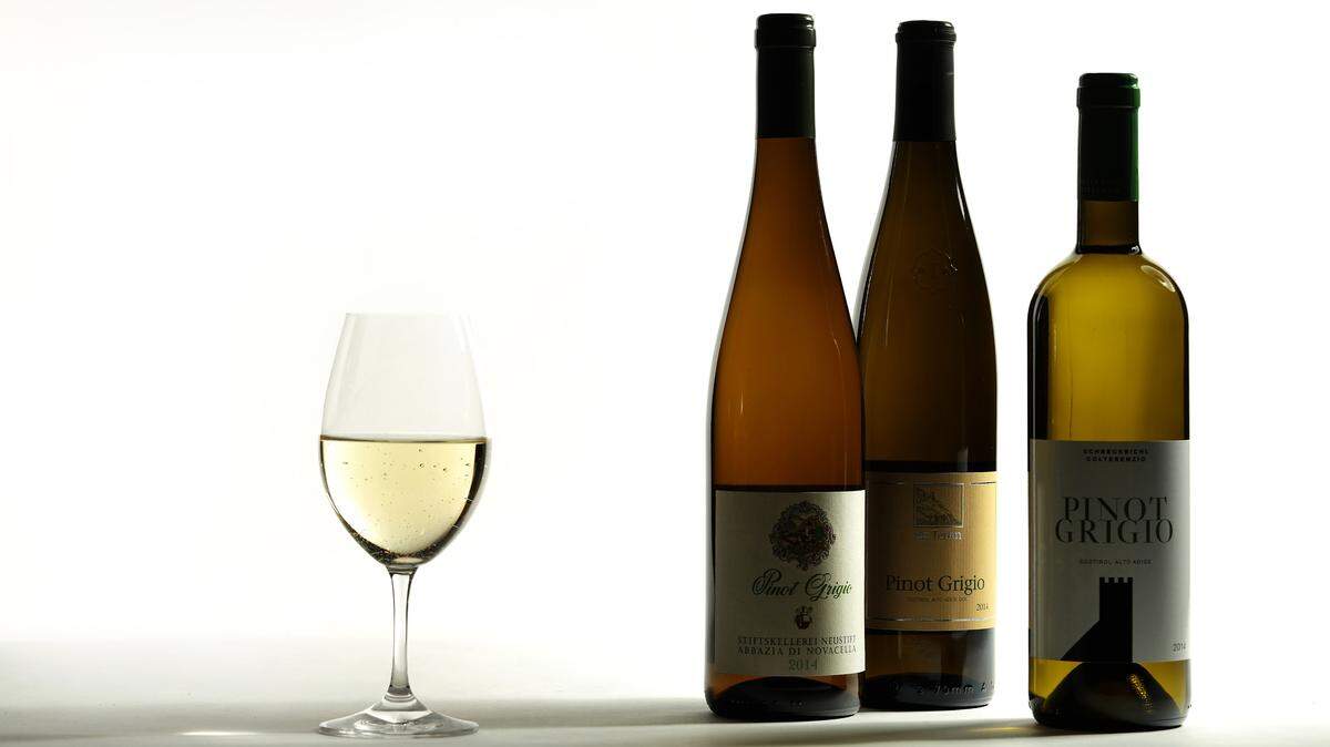 Hay varios estilos de Pinot Grigio, dependiendo la zona de la que vengan. Recuerda que en una uva influye el clima, el suelo y la altura, entre otros factores.