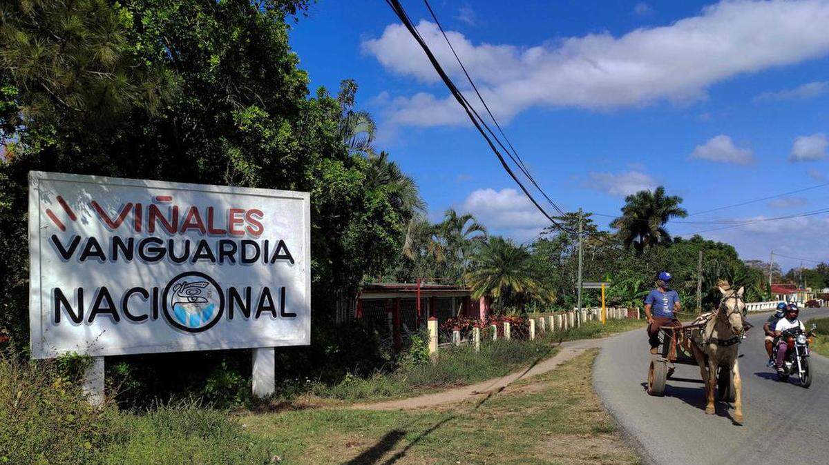 Un carro llevado por caballos recorre una calle de Viñales, Cuba, el 28 de enero de 2021.