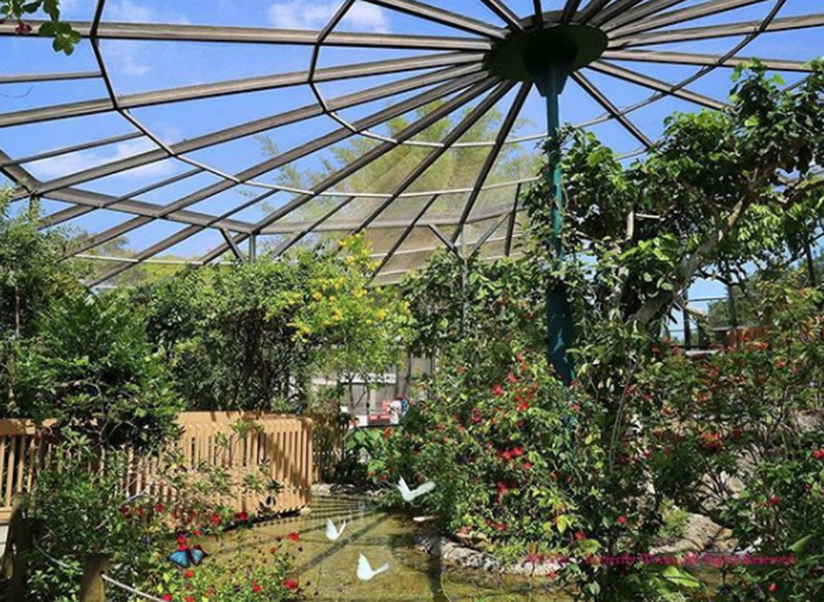 Butterfly World.