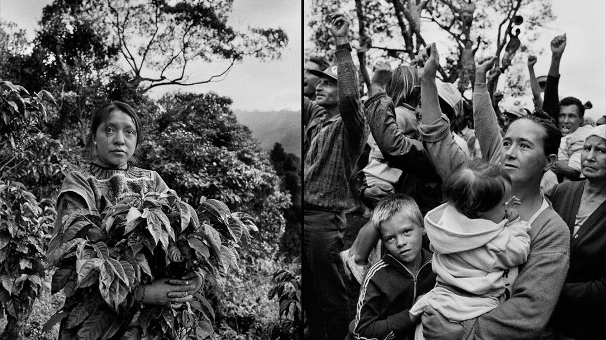 El libro cuenta con fotografías del laureado fotorreportero brasileño Sebastião Salgado, Premio Príncipe de Asturias 1998.