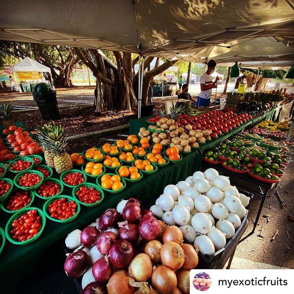 Pinecrest Farmers’ Market, mercado semanal de agricultores que está bien abastecido y concurrido, y presenta una gran cantidad de productos de granjas cercanas en las áreas de Redland y Homestead.