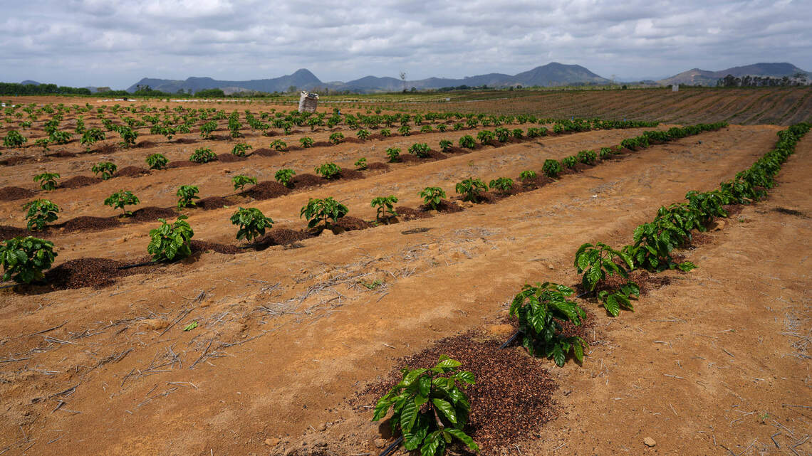 Brasil quiere crecer en Europa con alimentos de valor añadido y agricultura familiar