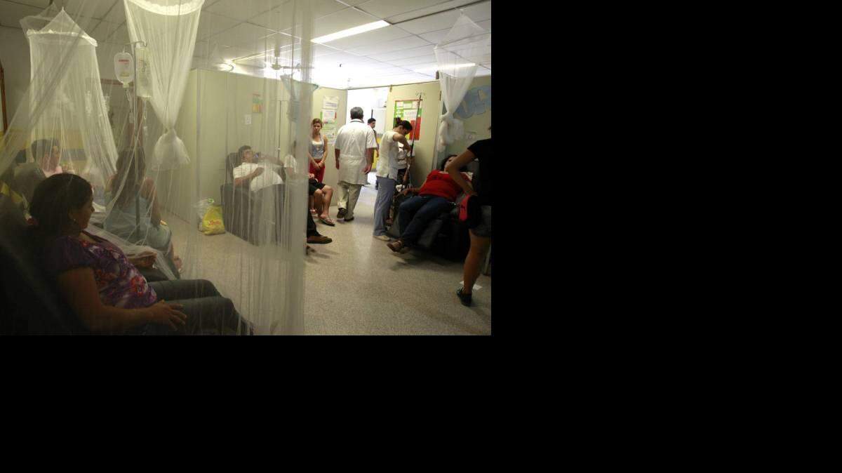 El Salvador reportó más de ocho mil casos de chikungunya.