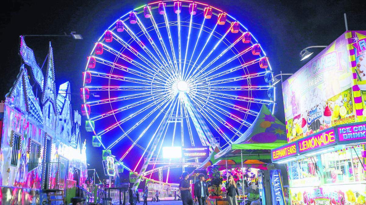 Por años, las luces del Santa Enchanted Forest encendieron el espíritu de la Navidad en Miami. La foto es de noviembre de 2021.
