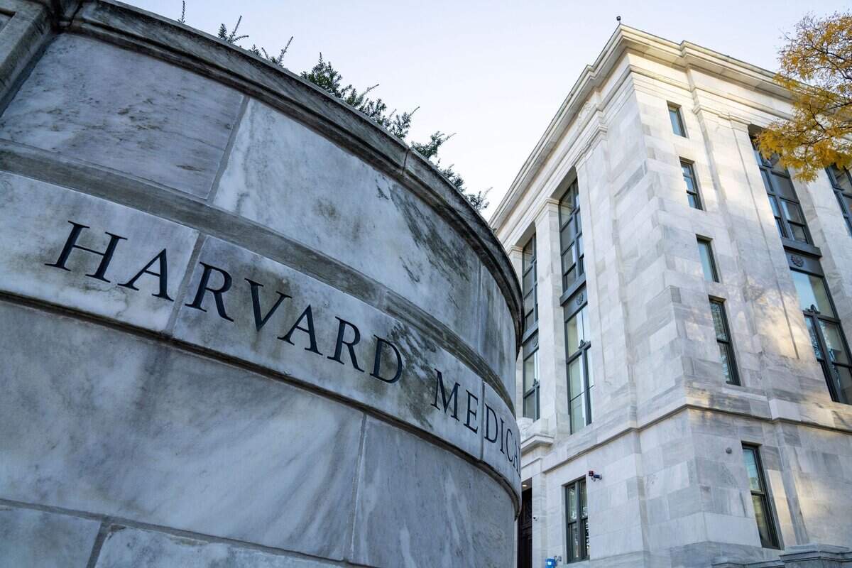 Los programas de admisión de Harvard College y la Universidad de Carolina del Norte violan la cláusula de igualdad de protección de la Enmienda 14.