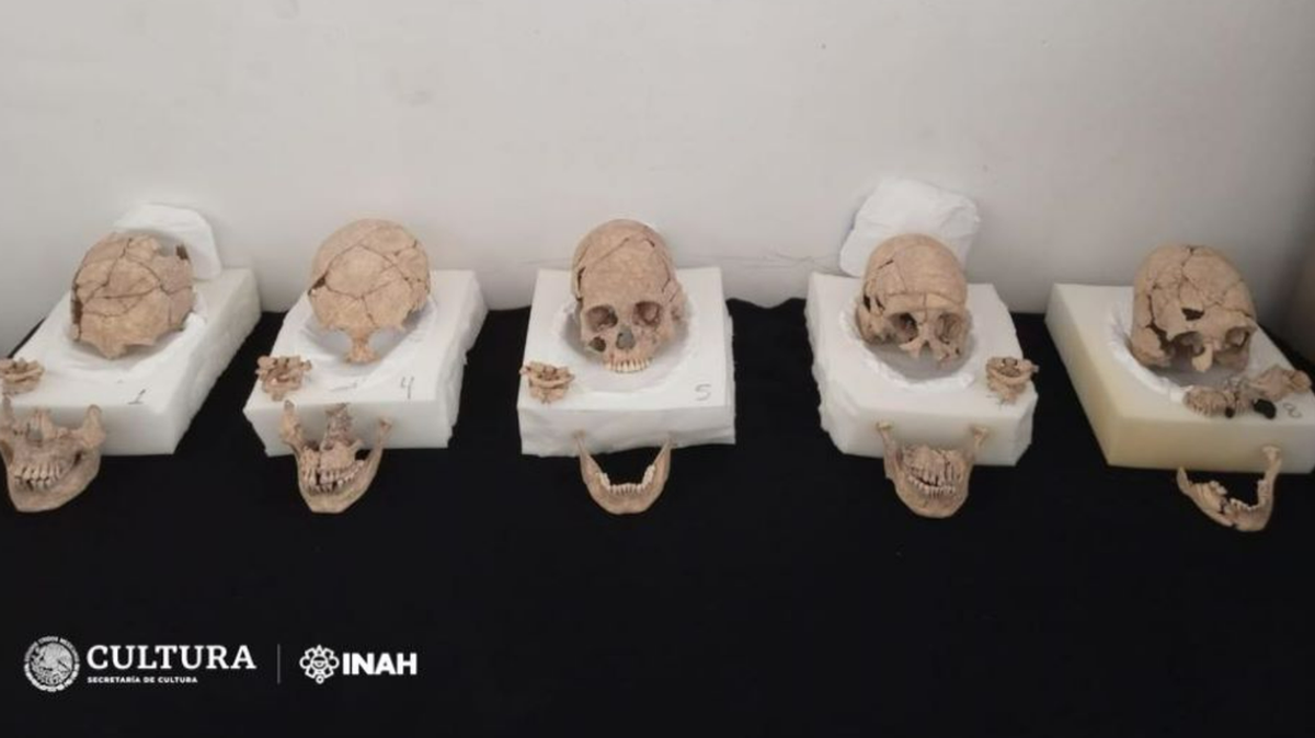 Cinco cráneos humanos, que se remontan a 1,400 años, se hallaron en México, dijeron las autoridades.