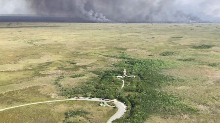 Everglades reabre Shark Valley tras cierre por enorme incendio forestal