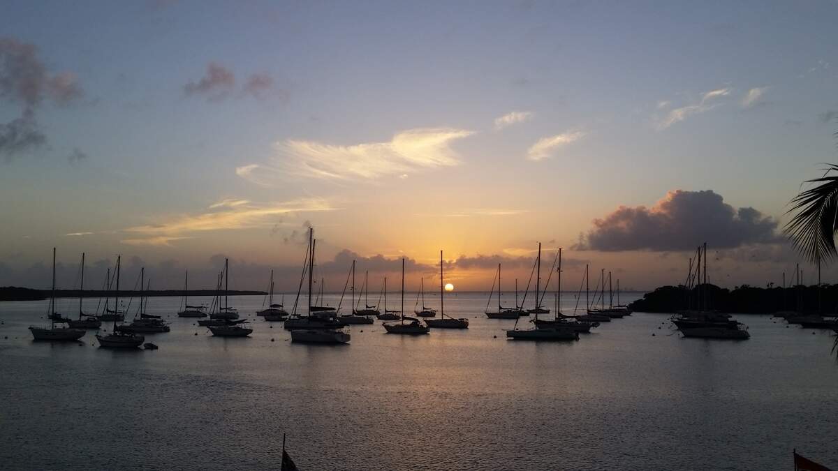 Crandon Marina, en Key Biscayne, es un puerto deportivo con zonas para pescar y arrecifes artificiales en la fantástica isla de Key Biscayne.