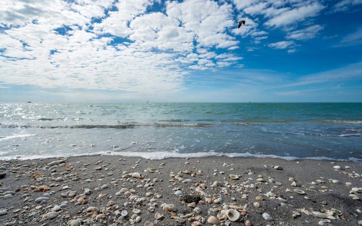 Ubicada a unas 130 millas al norte de Key West, y algo más de 160 millas de Miami, Sanibel Island es un auténtico paraíso playero.