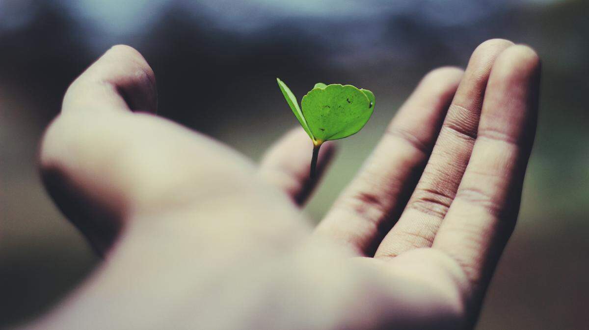 La forma de hacer negocios ha cambiado y hoy requiere una estrategia profunda y emocional que considere las necesidades sociales y ambientales de los grupos de interés.