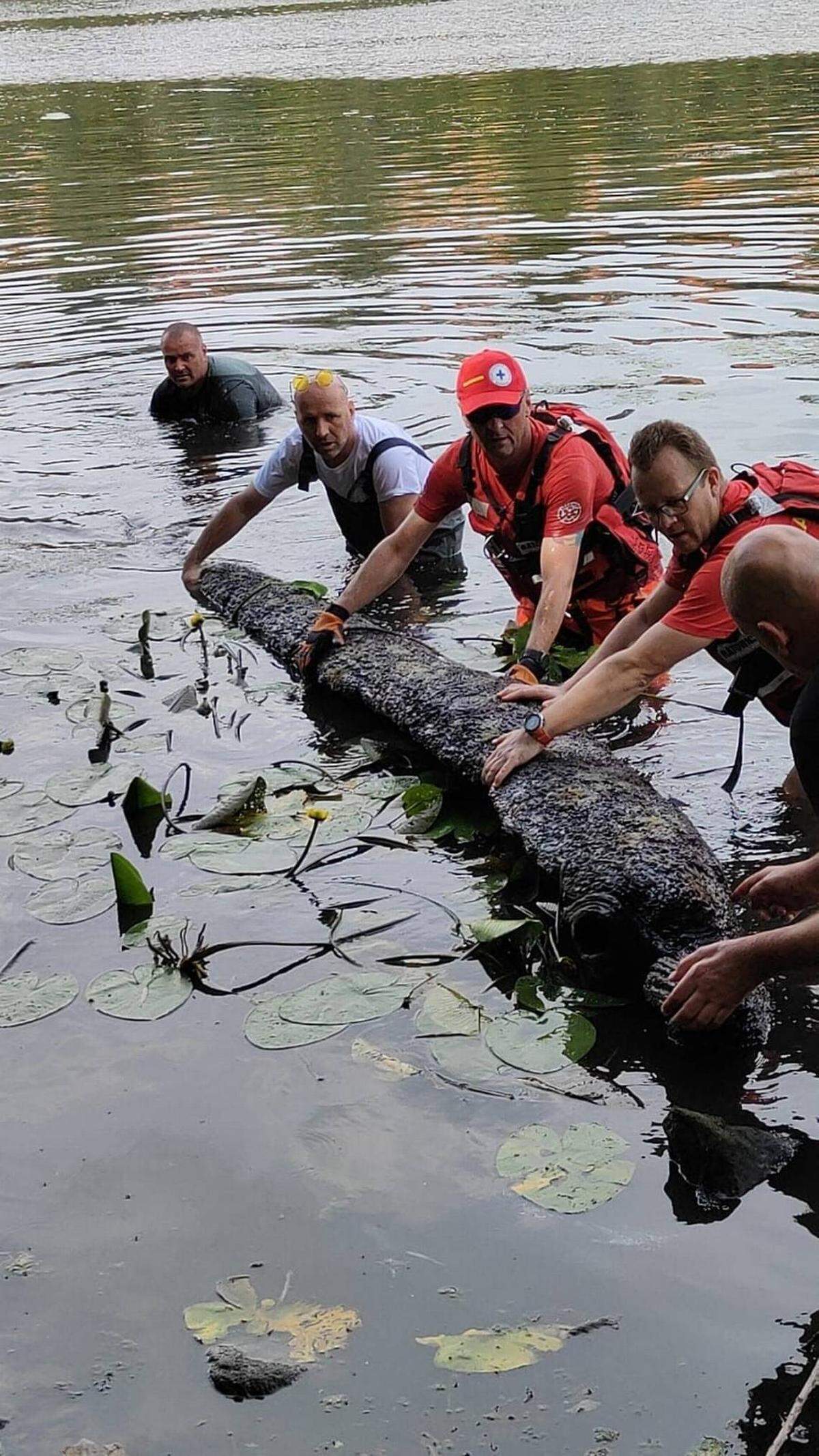 El grupo sostiene la canoa de 200 años. Foto de Pogotowie Archeologiczne vía Science in Polonia