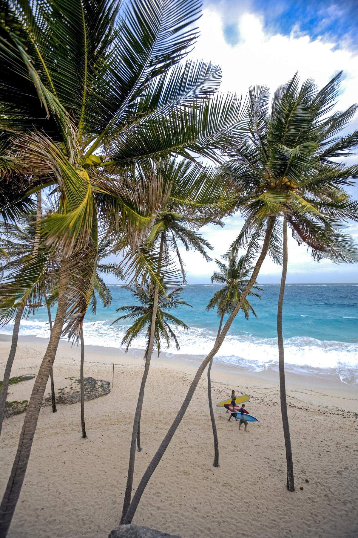 En Barbados se mezclan playas de ensueño, pueblos llenos de vida, una naturaleza exuberante y maravillas culturales.
