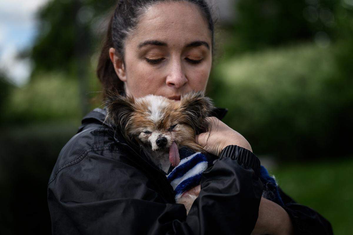 French dog owner Ophelie Boudol holds Lazare, a Continental Toy Spaniel Papillon said to be the world's oldest dog born in 1995, in Villy le Pelloux, eastern France, on May 12, 2026. When Lazare's former owner passed away, the dog was taken in by the dog pound, which then contacted the French SPA (Société Protectrice des Animaux). His owner Ophelie Boudol, who will turn 30 in October, took Lazare in at the end of April and officially became its "permanent foster family" last week, with a birth certificate indicating December 4, 1995. 1995. (Photo by Jeff PACHOUD / AFP via Getty Images)