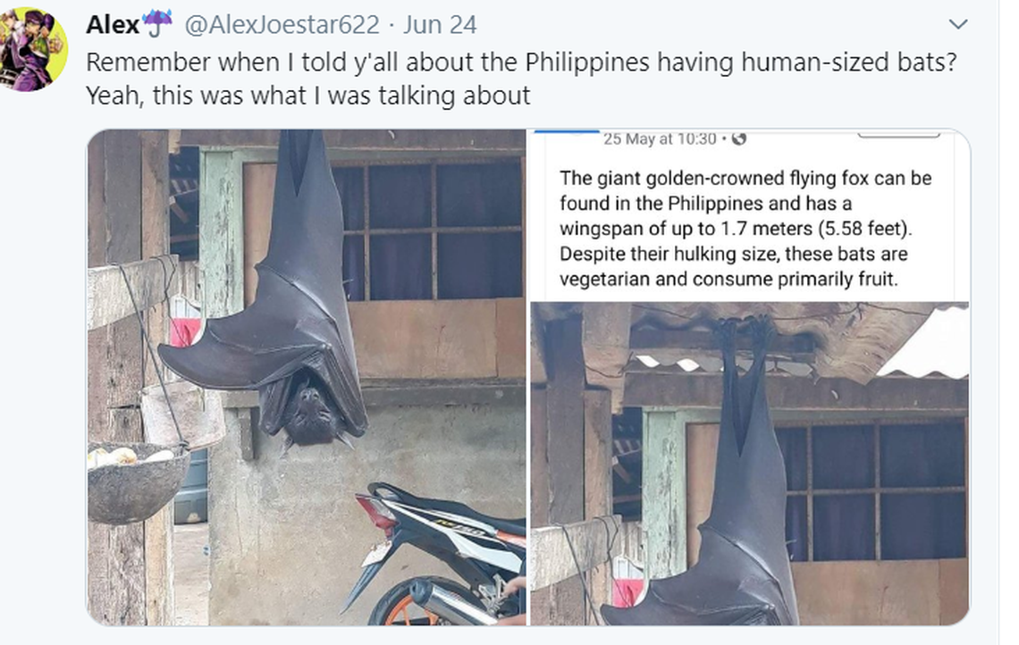 Captura de pantalla.