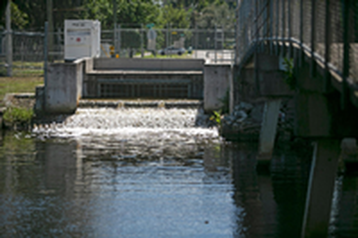 El Little River serpentea a través de 12 millas de comunidades densamente pobladas y recibe flujos de aguas pluviales que contienen contaminación que termina en la bahía.