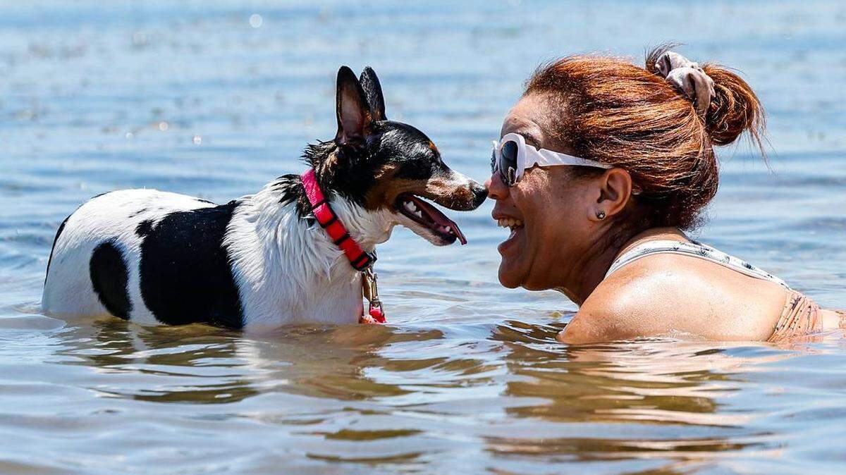 Vivian Abreu y su perra Mini Abreu se refrescan en las aguas del viaducto Rickenbacker en Miami, el 6 de junio de 2024.