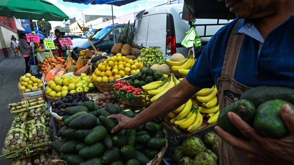 Los aguacates importados de México sería uno de los productos agrícolas que subirían de precio como resultado de los nuevos aranceles impuestos por el presidente Donald Trump. En la foto, un vendedor de frutas y vegetales muestra una cesta de aguacates en Puebla, México, el 7 de diciembre de 2023.