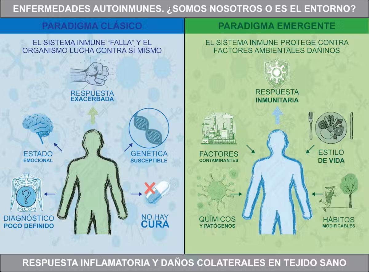 Paradigma clásico y paradigma emergente de las enfermedades autoinmunes.