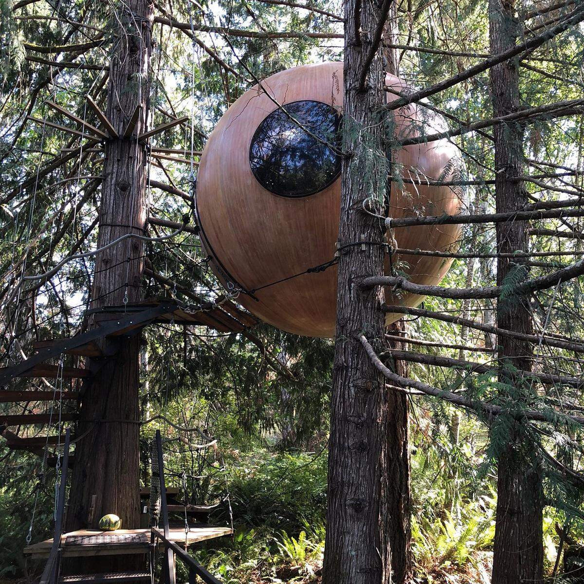 Instalación del hotel Free Spirit Spheres, en Vancouver Islanda, Canadá.