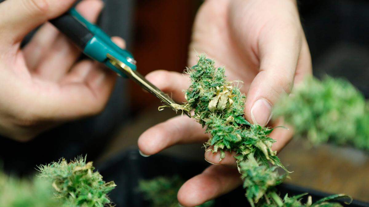CBD, short for cannabidiol, is a hemp derivative that’s found in marijuana, but doesn’t create a “high.”