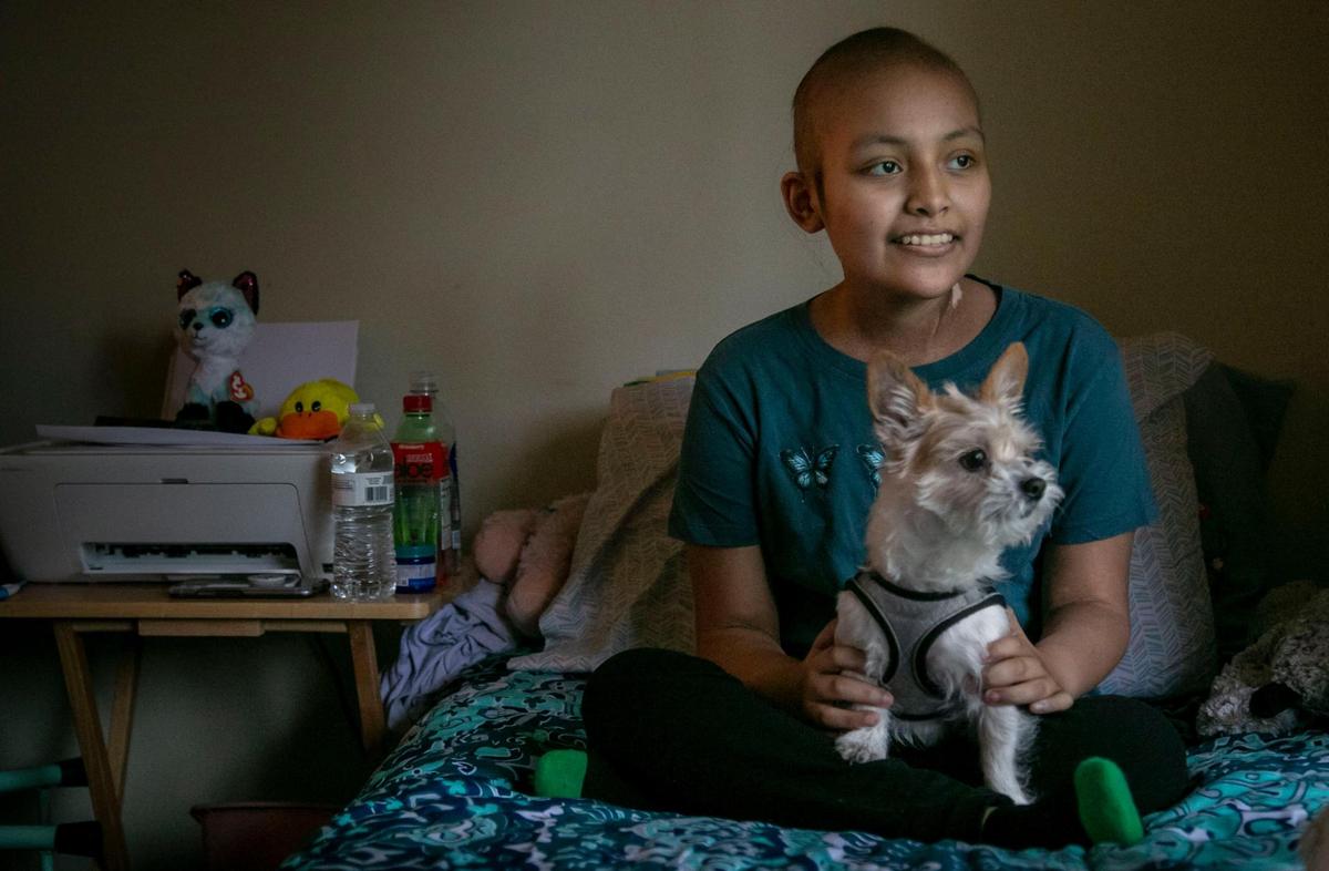 Sofía Macario en su apartamento en Coral Springs, con su perrito Caramelo. A la joven de 14 años, que se enfrenta a los tratamientos contra el cáncer, le gustaría otro perro, un Yorkie. Su mamá considera que la familia necesita mudarse para otro lugar más grande que no represente peligro para la salud de Sofía.