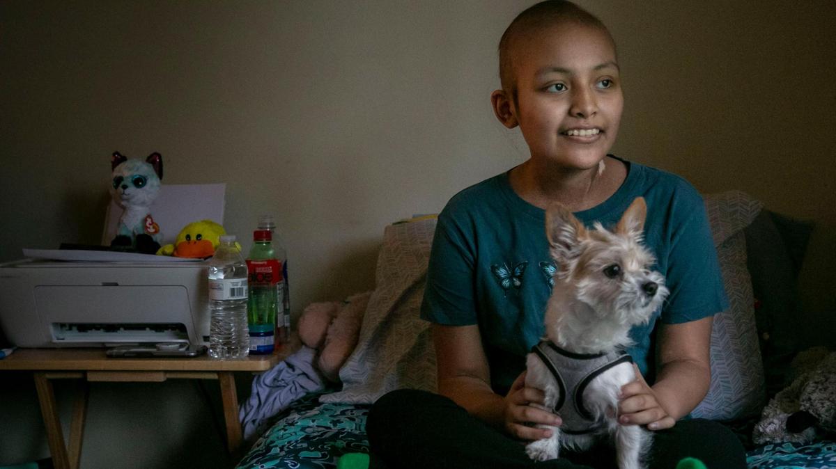 Sofía Macario en su apartamento en Coral Springs, con su perrito Caramelo. A la joven de 14 años, que se enfrenta a los tratamientos contra el cáncer, le gustaría otro perro, un Yorkie. Su mamá considera que la familia necesita mudarse para otro lugar más grande que no represente peligro para la salud de Sofía.