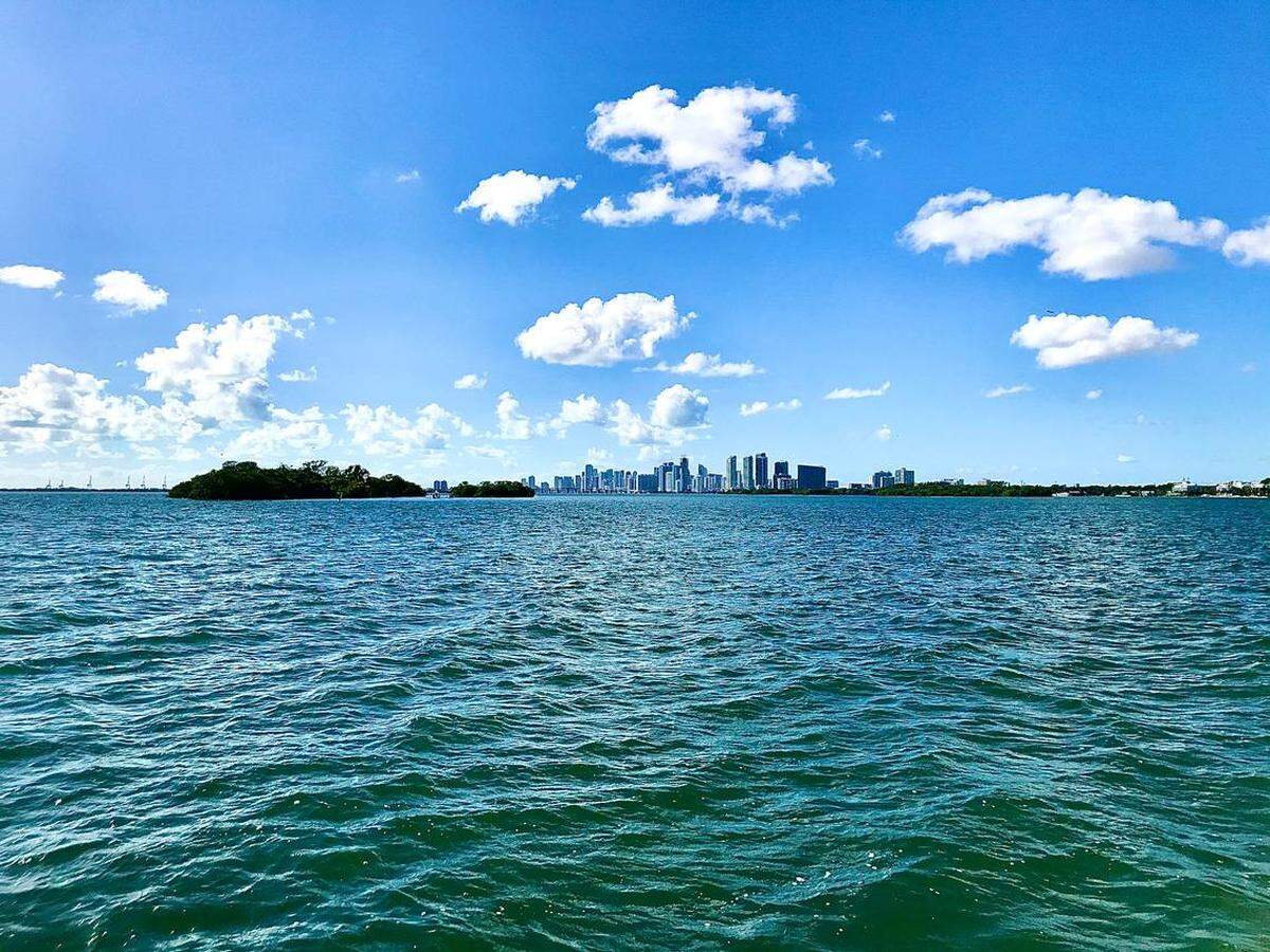 Bird Key es una de las dos islas naturales en Biscayne Bay al norte de Virginia Key. Fue nombrado hace siglos por un topógrafo británico enviado por el rey Jorge III y ahora es propiedad de Finlay Matheson, miembro de una de las familias más antiguas y ricas de Miami.