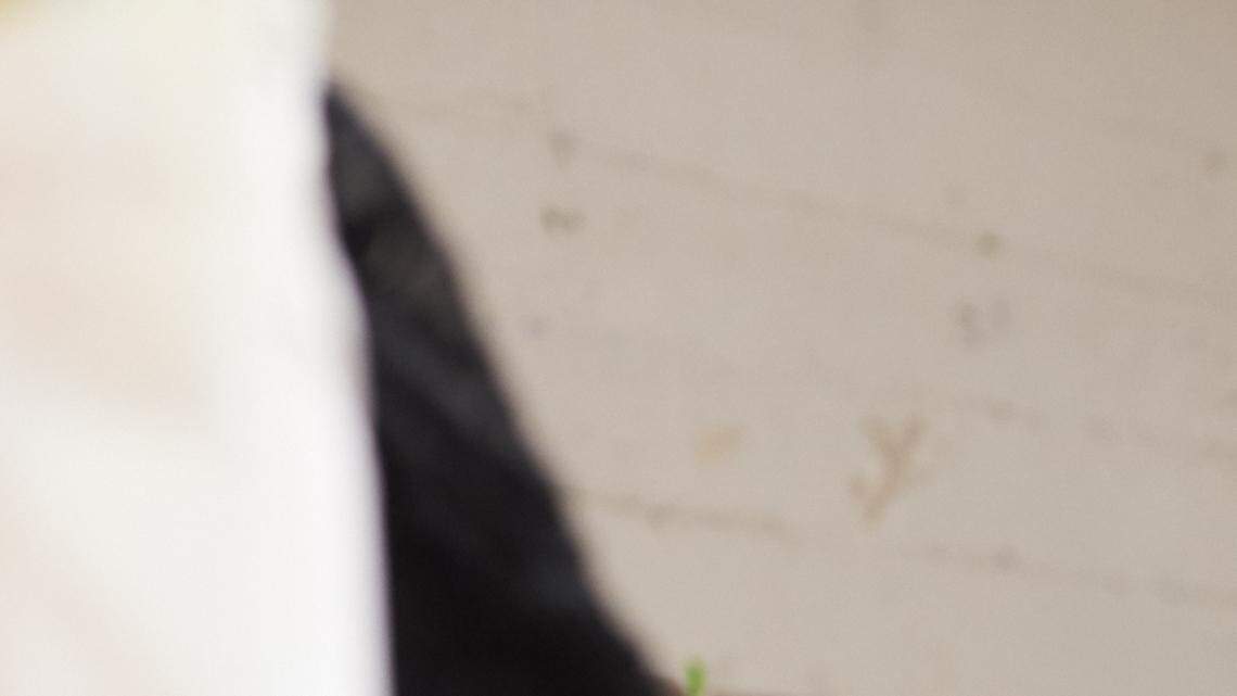 Miami es el área metropolitana de crecimiento más rápido en Estados Unidos en la creación de nuevas empresas, siendo Florida el tercer estado del país.