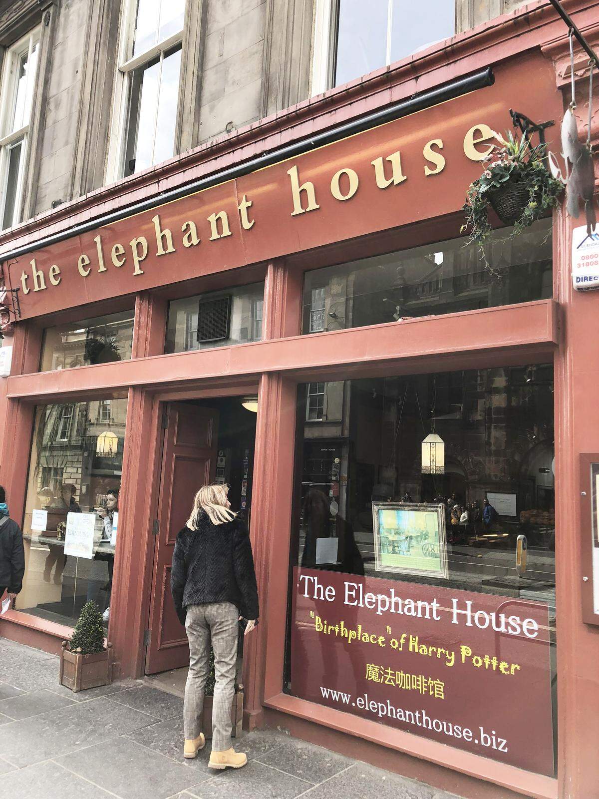 Cafetería The elephant house.