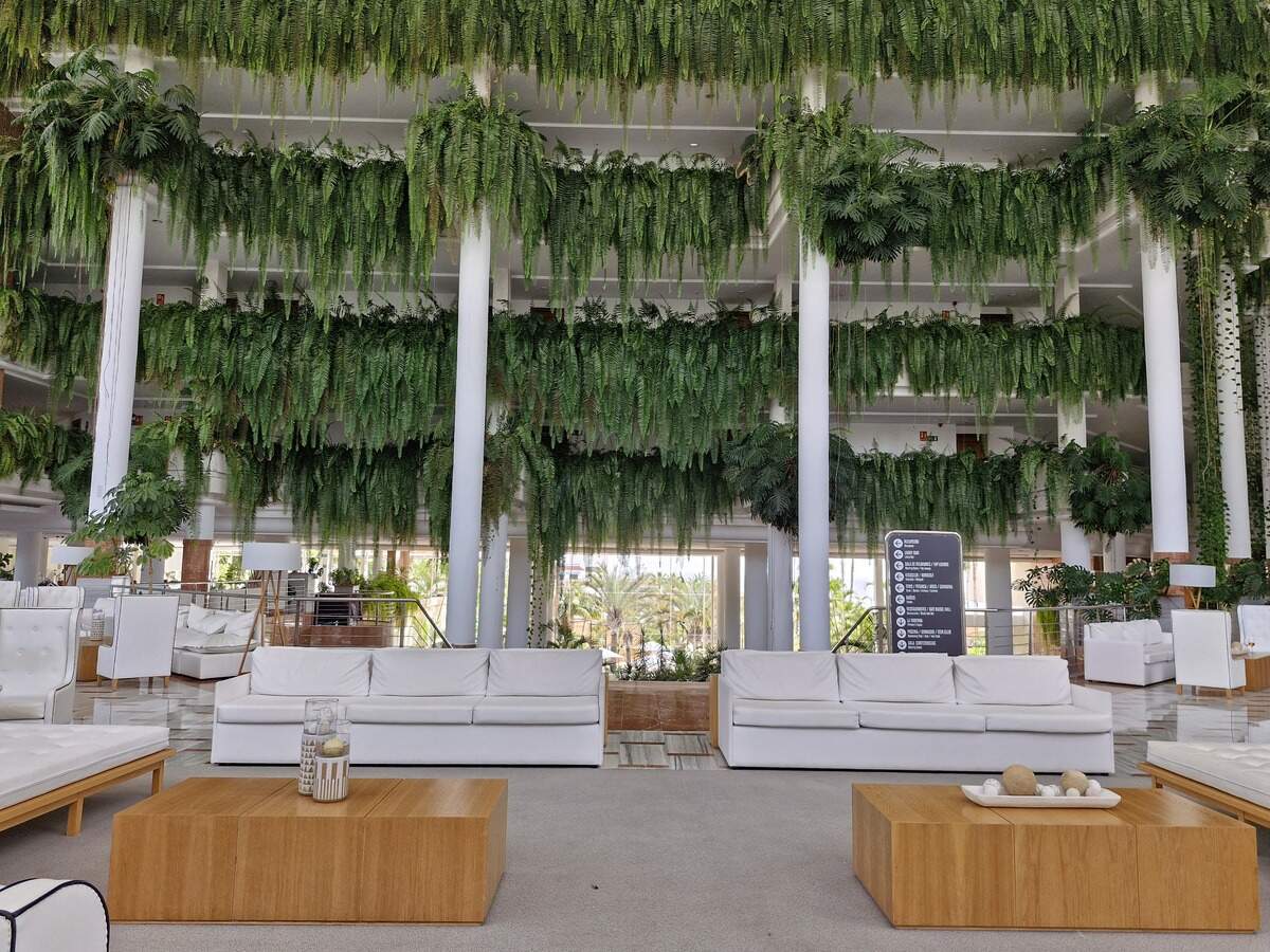  El Lobby ya causa fascinación ante el vergel formado por la maleza de helechos que cuelgan de las jardineras.