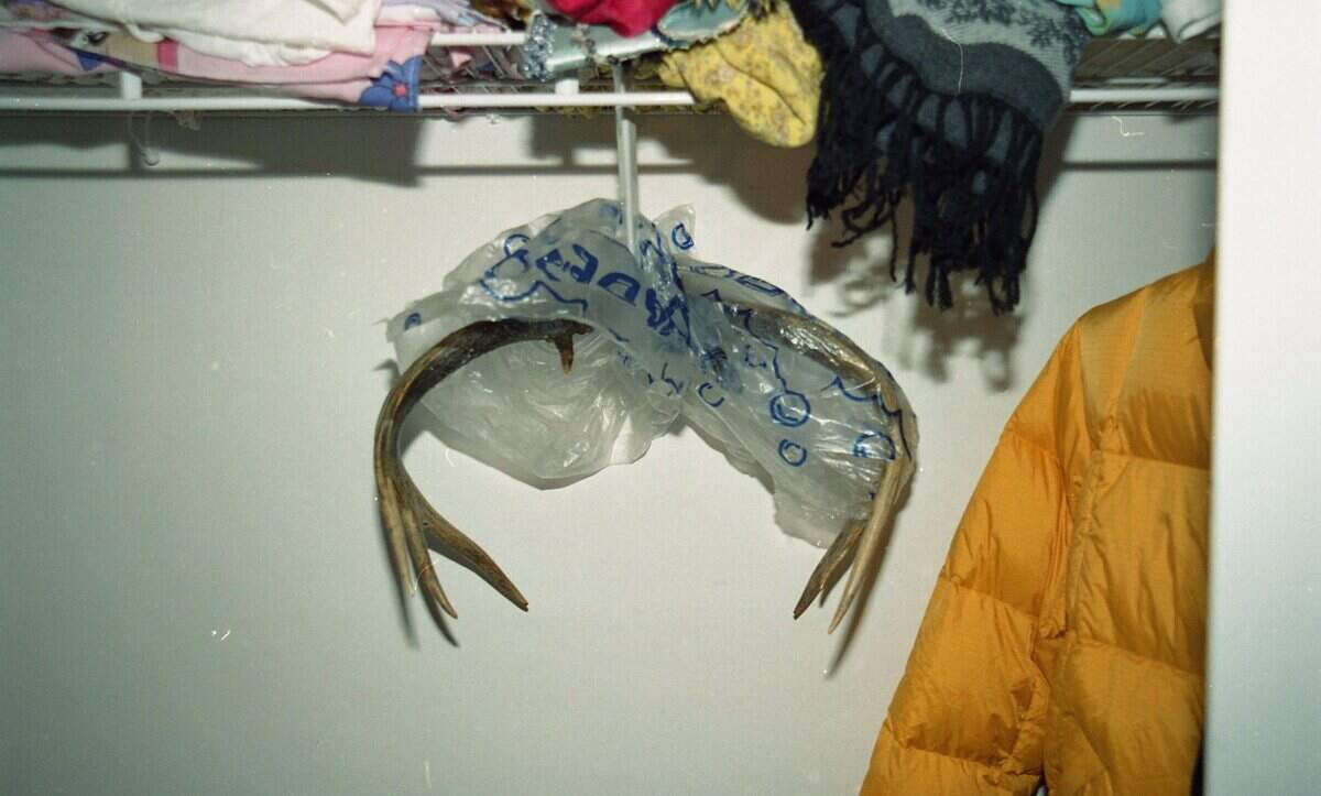 Astas encontradas colgando en un closet encima del cadáver de Maritza Quesada en el 2003. Su ex esposo, Hugo Quesada, se declaró culpable y aceptó cumplir 40 años de prisión.