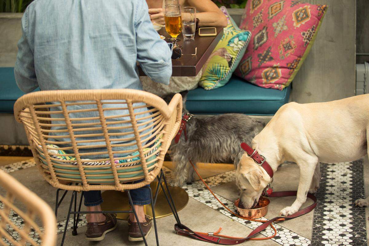 Vista, al norte de los barrios de Design Distict y Buena Vista, en Upper Buena Vista, ofrece comida de inspiración italiana con un toque de Miami y es un lugar en el todas las mascotas son bienvenidas.