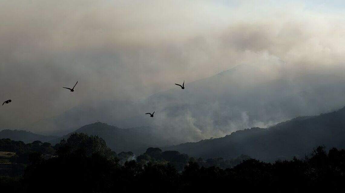 España enfrenta “el mayor incendio forestal” de su historia reciente