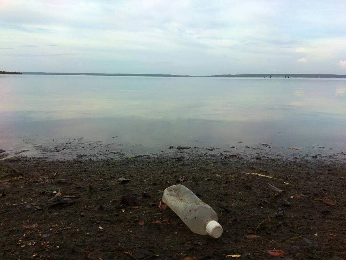 Investigadores de la ciudad han detectado la presencia de microplástico en las aguas de la bahía. Esto, unido a metales pesados ingeridos por los peces puede dar lugar a enfermedades como el cáncer una vez que son consumidos por los seres humanos.