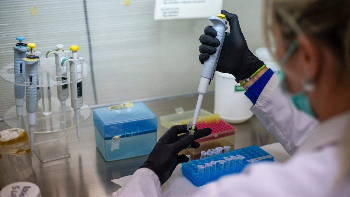 Possible hantavirus case under investigation in Illinois: What to know