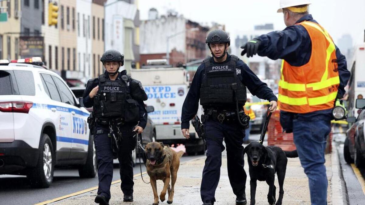 Oficiales con perros detectores de bombas observan el área después de un tiroteo en un tren subterráneo el martes 16 de abril. 12, 2022, en el distrito de Brooklyn de Nueva York. (Foto AP/Kevin Hagen)