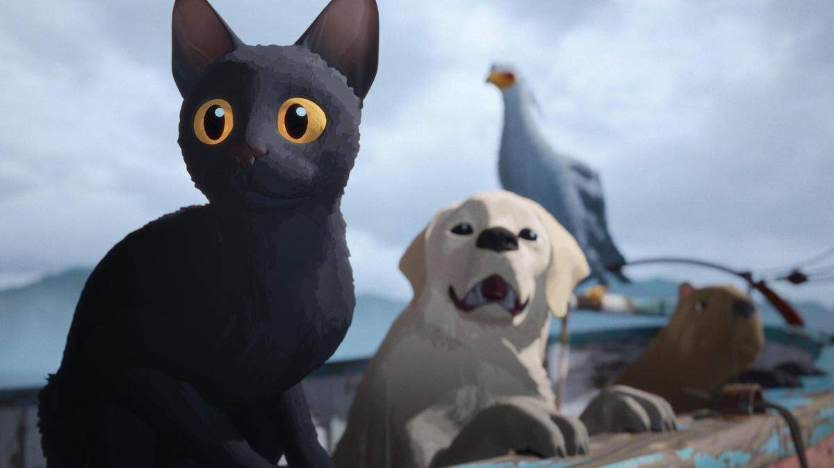 En Coral Gables Art Cinema se proyecta ‘Flow’ (2024) película de animación que gira en torno a un grupo de animales que emprende un viaje en busca de un nuevo lugar para vivir.