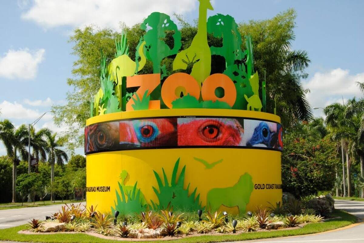 En este mes de descuentos para entrar a ciertos lugares de interés, como museos y parques, se podría reunir a toda la familia y visitar el Zoo Miami, un sitio que siempre es atractivo para todos.