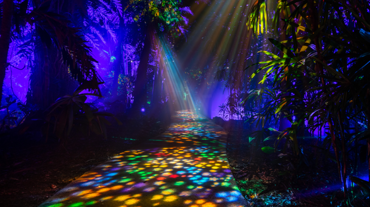Jardín nocturno de Fairchild, luces y fantasía navideña.