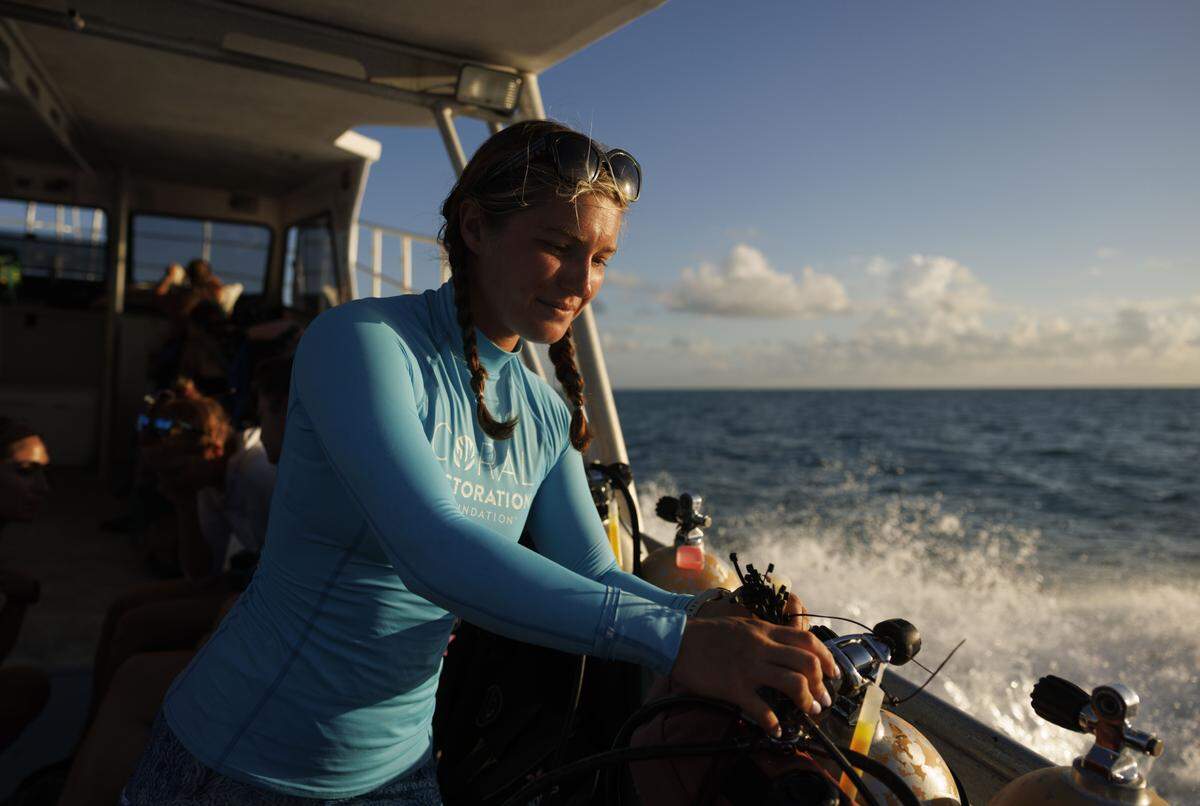 Merrill Willis, interna del programa científico que organizó el plan de recolección de datos, prepara su equipo antes del evento anual de desove de coral el martes 12 de agosto de 2025, en Spawning Alley, un vivero administrado por la Coral Restoration Foundation cerca de Key Largo, Fla.
