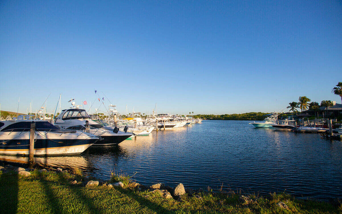 Black Point Park, en Homestead, cuenta con rutas en canoa por manglares donde puedes ver aves zancudas y peces tropicales en aguas tranquilas y cristalinas.