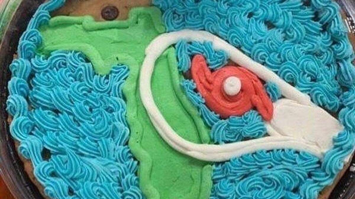 A Publix bakery in Florida sold cookies with Hurricane Dorian decorations.