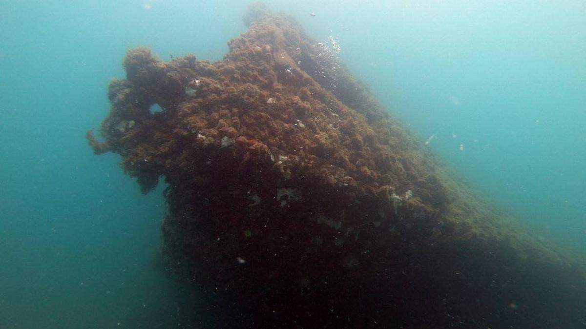 Encuentran diario de marino en barco de guerra hundido cerca de Cayo Hueso. La bitácora estaba oculta en un mueble.