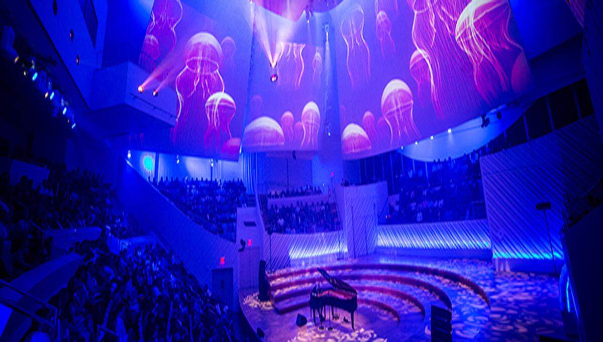 Visitas guiadas por el New World Center.