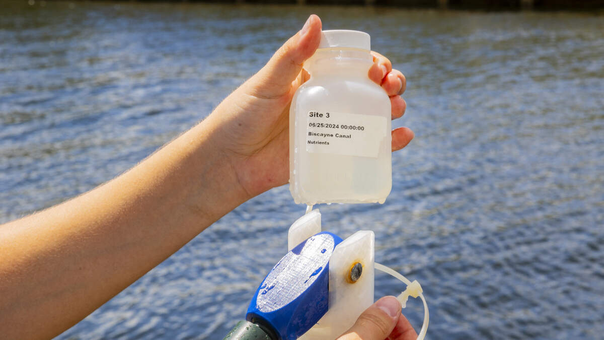 Investigadores del Instituto del Medio Ambiente de la Florida International University procesan y analizan muestras de agua como parte de un estudio sobre la 6PPD-quinona (6PPD-Q), una sustancia química tóxica derivada de un aditivo común de los neumáticos.