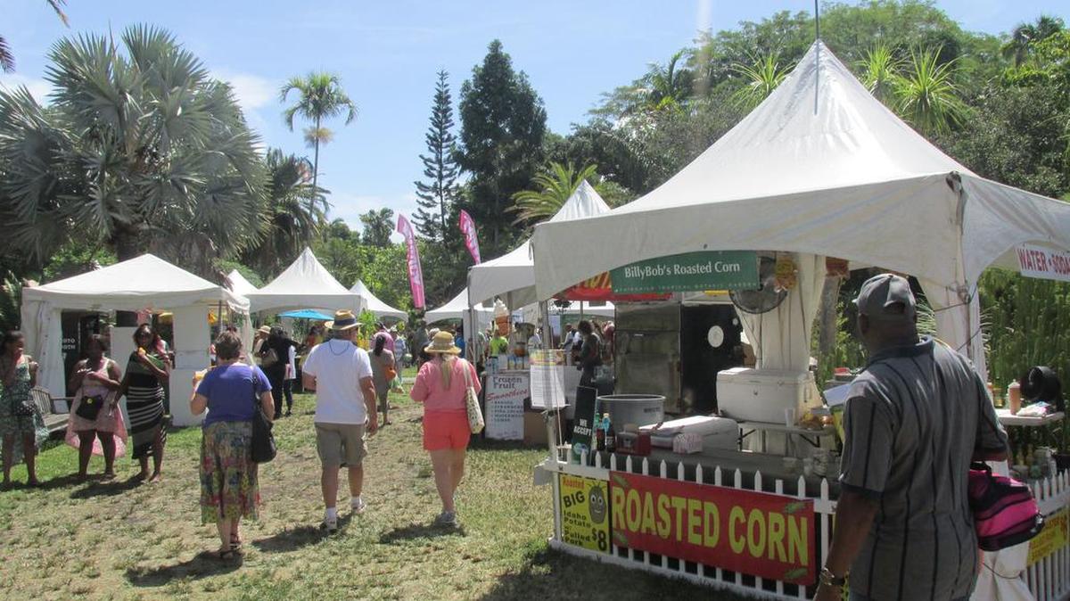 Este año el Festival Internacional del Mango en el Fairchild Tropical Botanic Garden estará dedicado a los ‘Mangos de Cuba’.