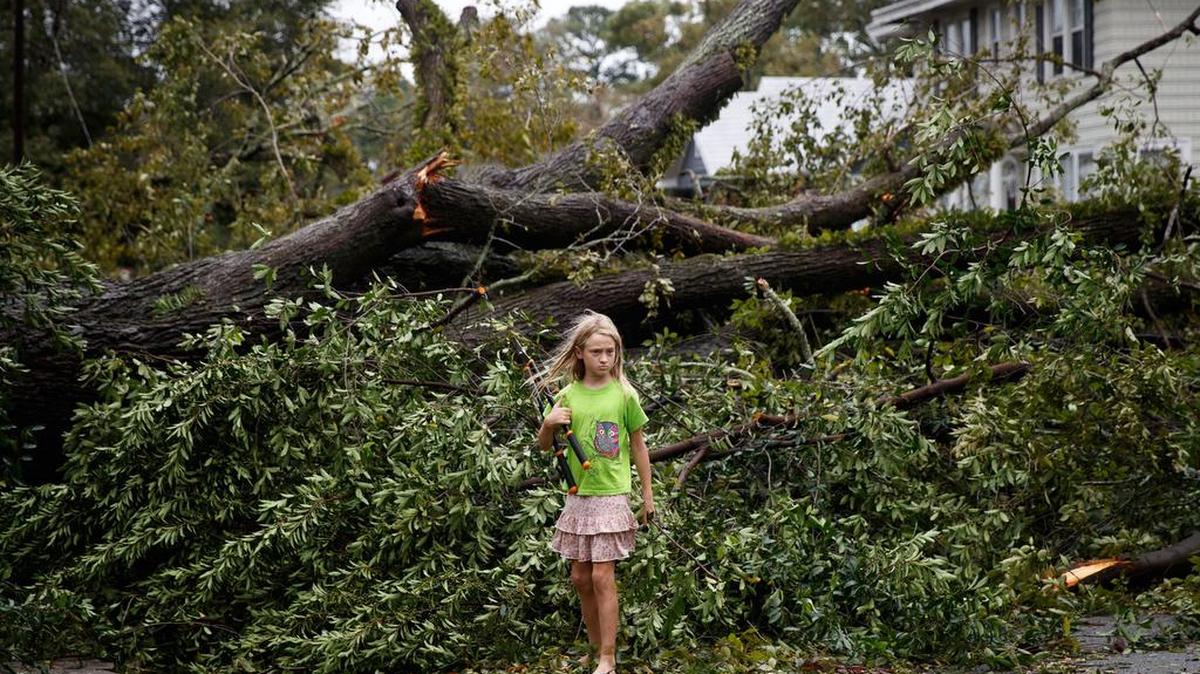 La niña Frances Long frente a un árbol caído, en el patio de su casa, tras el paso del huracán Matthew por Savannah, Georgia, el pasado 8 de octubre.