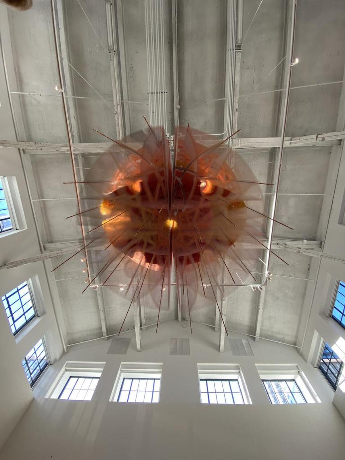 ‘Mongrel’, 2021, instalación en la Skylight Gallery de la Torre de la Libertad, en el Museo de Arte y Diseño del Miami.