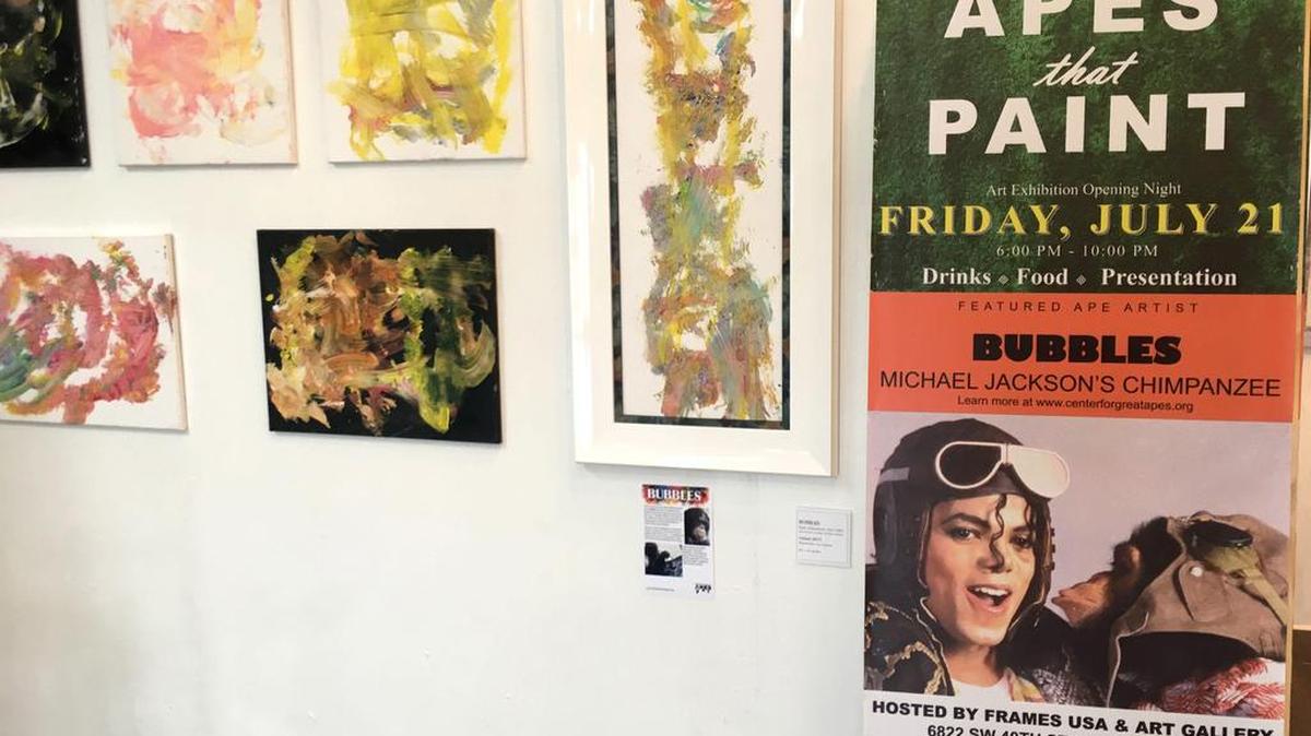 Vista de un conjunto de cuadros pintados por chimpancés y exhibidos como parte de la muestra "Simios que pintan" en la galería Frames USA & Art el jueves 20 de julio de 2017, en Miami, Florida.